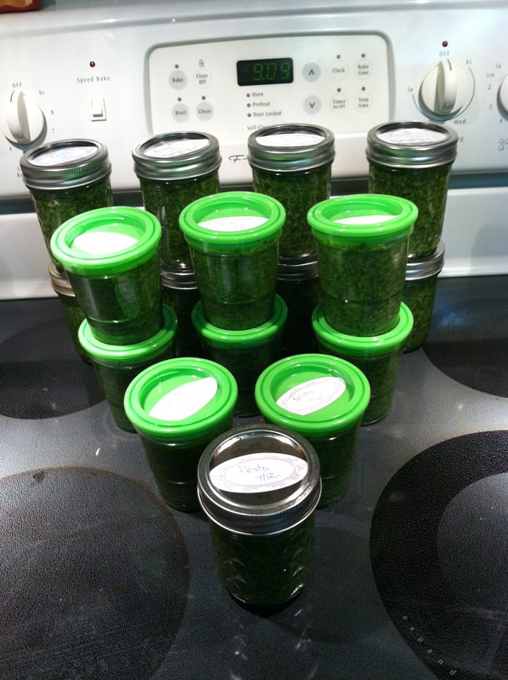 Pesto in jars